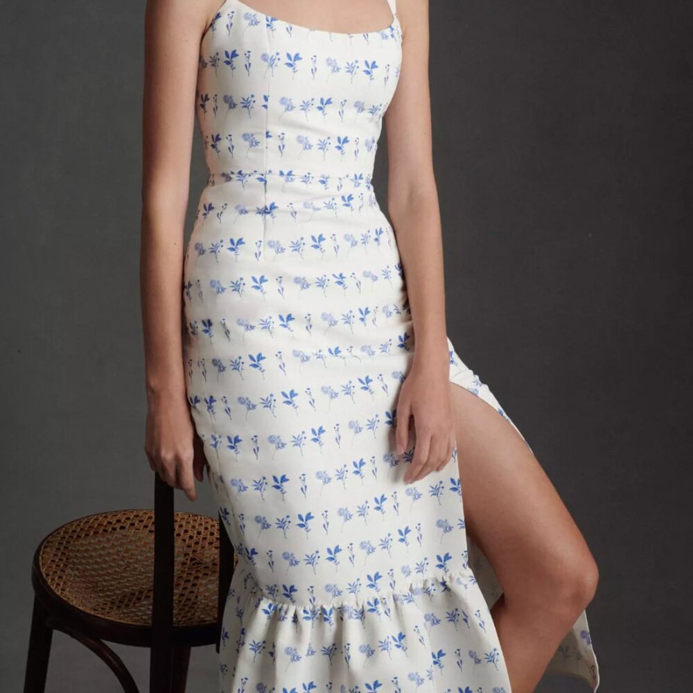 Anthropologie Sachin & Babi Eliza chinoiserie midi dress